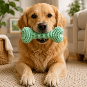 Może przedstawiać: Pies rasy golden retriever o długiej, jasnobrązowej sierści, leżący i trzymający w pysku jasnomiętową, teksturowaną, szydełkowaną zabawkę w kształcie kości. Zabawka ma wyraźny wzór dzianiny i kształt klasycznej kości dla psa.