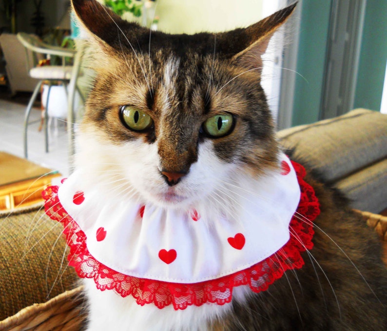 Ruffled Heart Collar Ruffled Small Dog or Cat Optional Lace Trim afbeelding 3