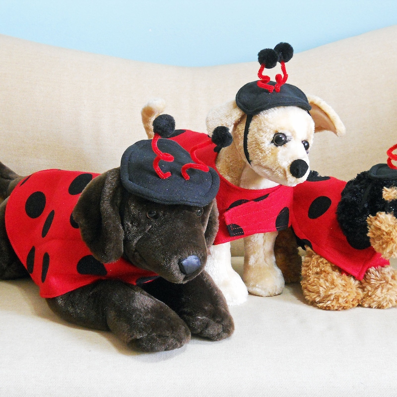 Small Dog Costume - Etsy