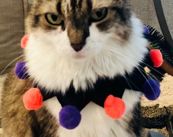 Halloween Collar for Cat or Small Dog