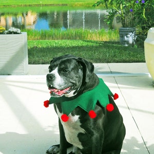 Elf Collar for Large Dog Green and Red with Optional Jingle Bells Christmas Collar image 5