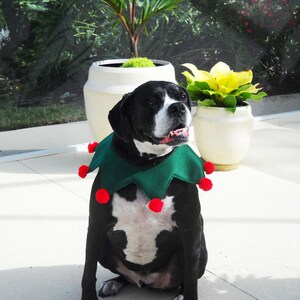 Christmas Elf Collar for Large Dog Green and Red With Optional - Etsy