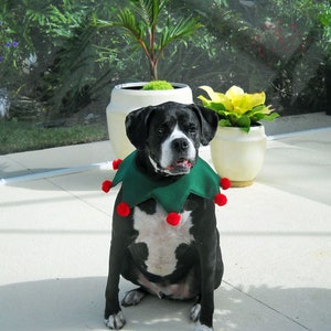 Christmas Elf Collar for Large Dog Green and Red With Optional - Etsy