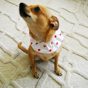Ruffled Heart Collar Ruffled Small Dog or Cat Optional Lace Trim afbeelding 4
