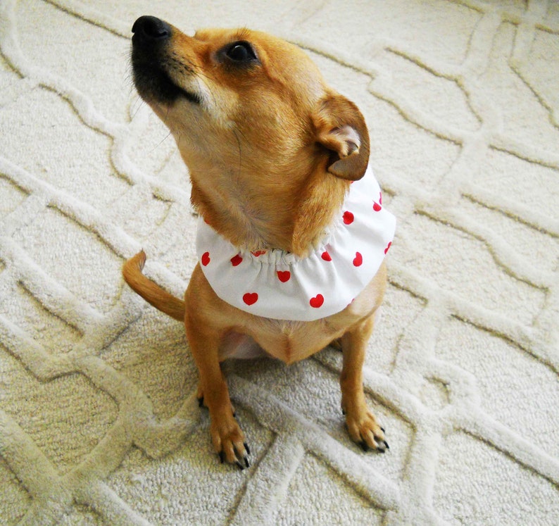 Ruffled Heart Collar Ruffled Small Dog or Cat Optional Lace Trim afbeelding 4