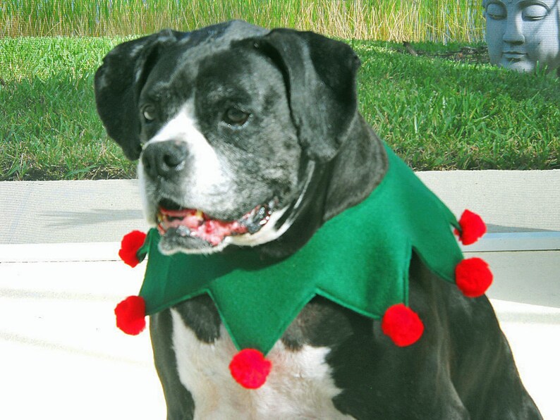 Elf Collar for Large Dog Green and Red with Optional Jingle Bells Christmas Collar image 3