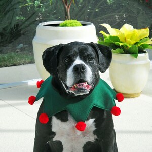 Christmas Elf Collar for Large Dog Green and Red With Optional - Etsy