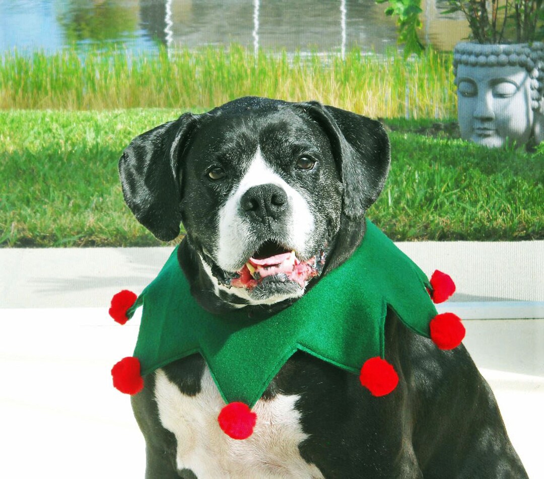 Elf Collar for Large Dog Green and Red With Optional Jingle Bells