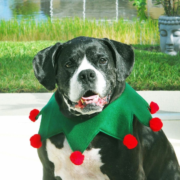 Elf Collar for Large Dog Green and Red with Optional Jingle Bells  Christmas Collar