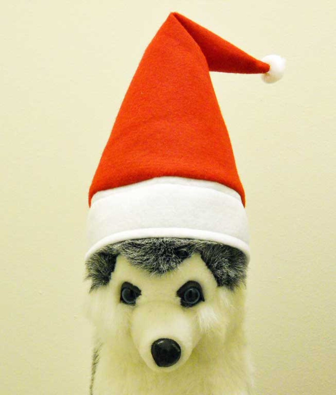 Christmas Dog Santa Hat LARGE Photo Prop Large Dog Santa Etsy