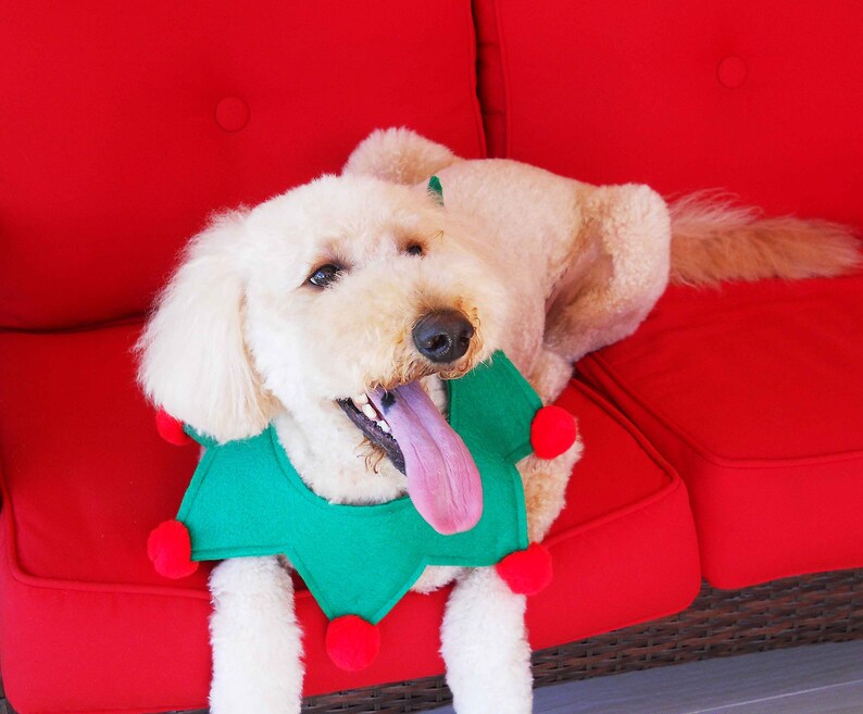 Elf Collar for Large Dog Green and Red with Optional Jingle Bells Christmas Collar image 2