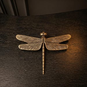 Può includere: Una spilla a forma di libellula in metallo con finitura in ottone anticato. L'insetto presenta quattro ali con dettagliati motivi a venature in rilievo e un corpo allungato e segmentato. Il design è simmetrico, con una superficie testurizzata.