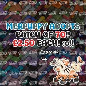 Adoptiebaar harig personageontwerp | goedkope antropomorfe wilde zeemeerpuppy adoptie batch adopties