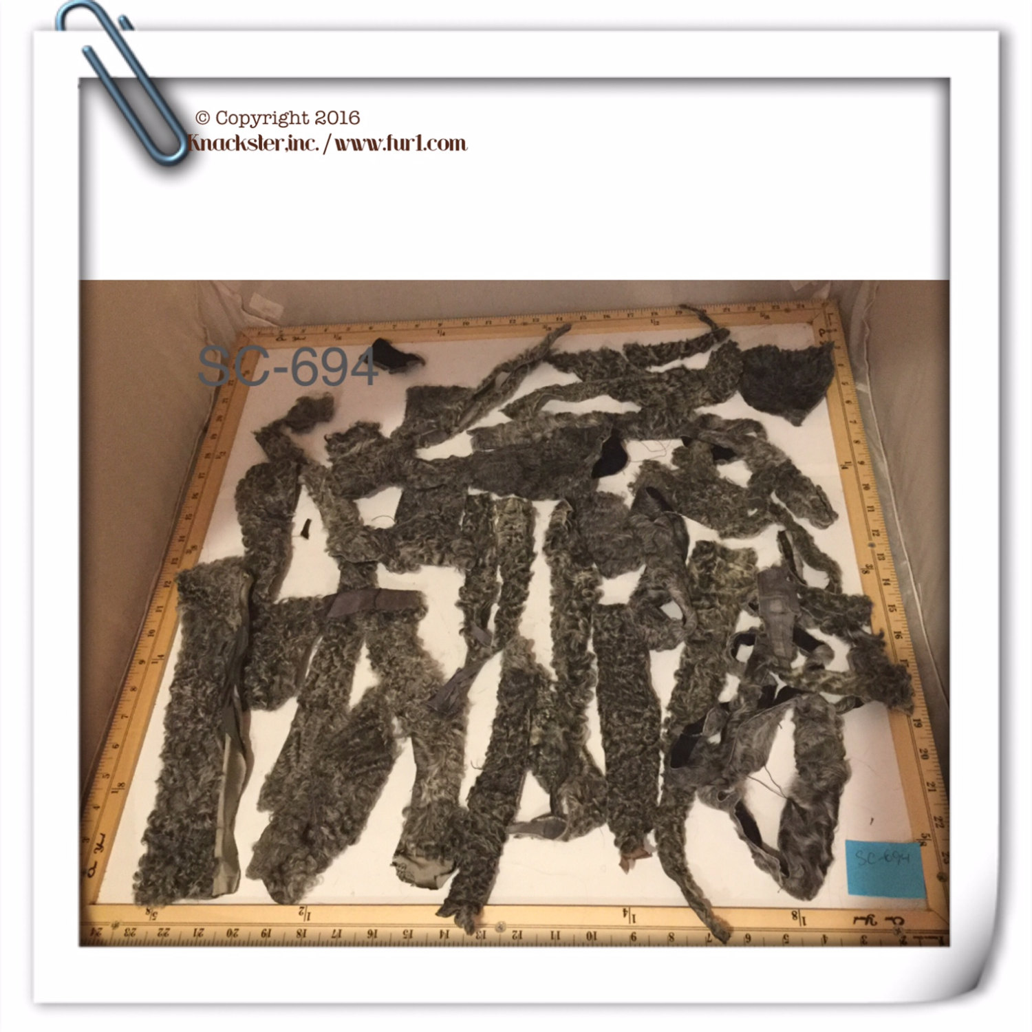 SC-694 Craft Supply Genuine silver gray Persian lambFur Pelt coat scrap pieces