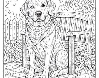 Printable Dog Colour-by-Number Worksheets for Adults and Older Children - Popular Breeds Including Labradors, Poodles, Beagles