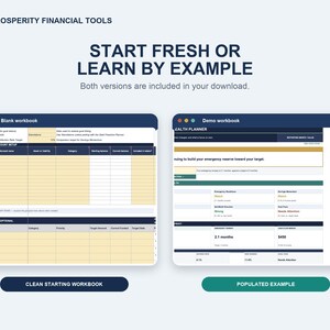 Side-by-side Blank and Demo versions of the Prosperity Financial Health Planner included in the download.