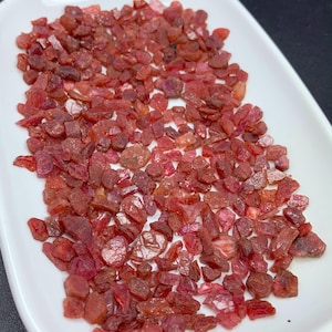 May include: A collection of small, raw, unpolished red gemstone fragments scattered across a smooth, white, oval-shaped ceramic dish. The stones exhibit varying shades of deep crimson and pinkish-red with irregular, jagged edges and translucent surfaces.