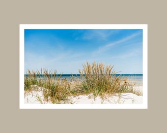 Playas de Chincoteague (Descarga digital)