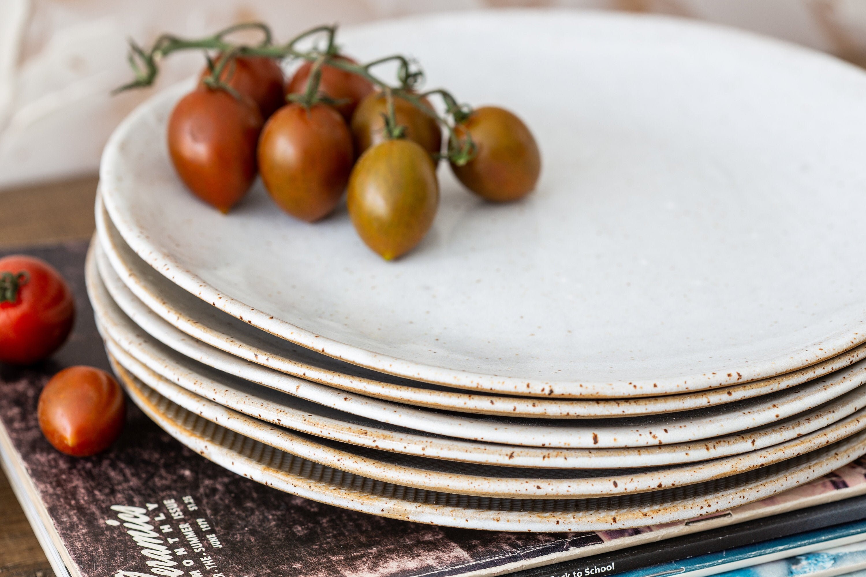 2 Assiettes Uniques Faites à La Main, Vaisselle en Céramique Rustique, Grand Ensemble d'assiettes, G