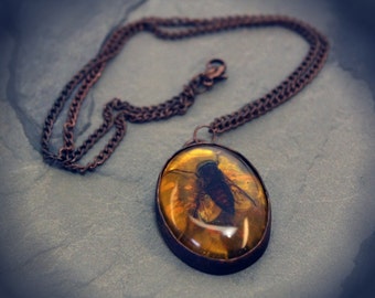 Aged Copper Resin 4mber Fly Chain Necklace Pendant