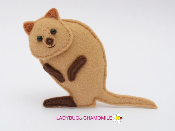 quokka doll