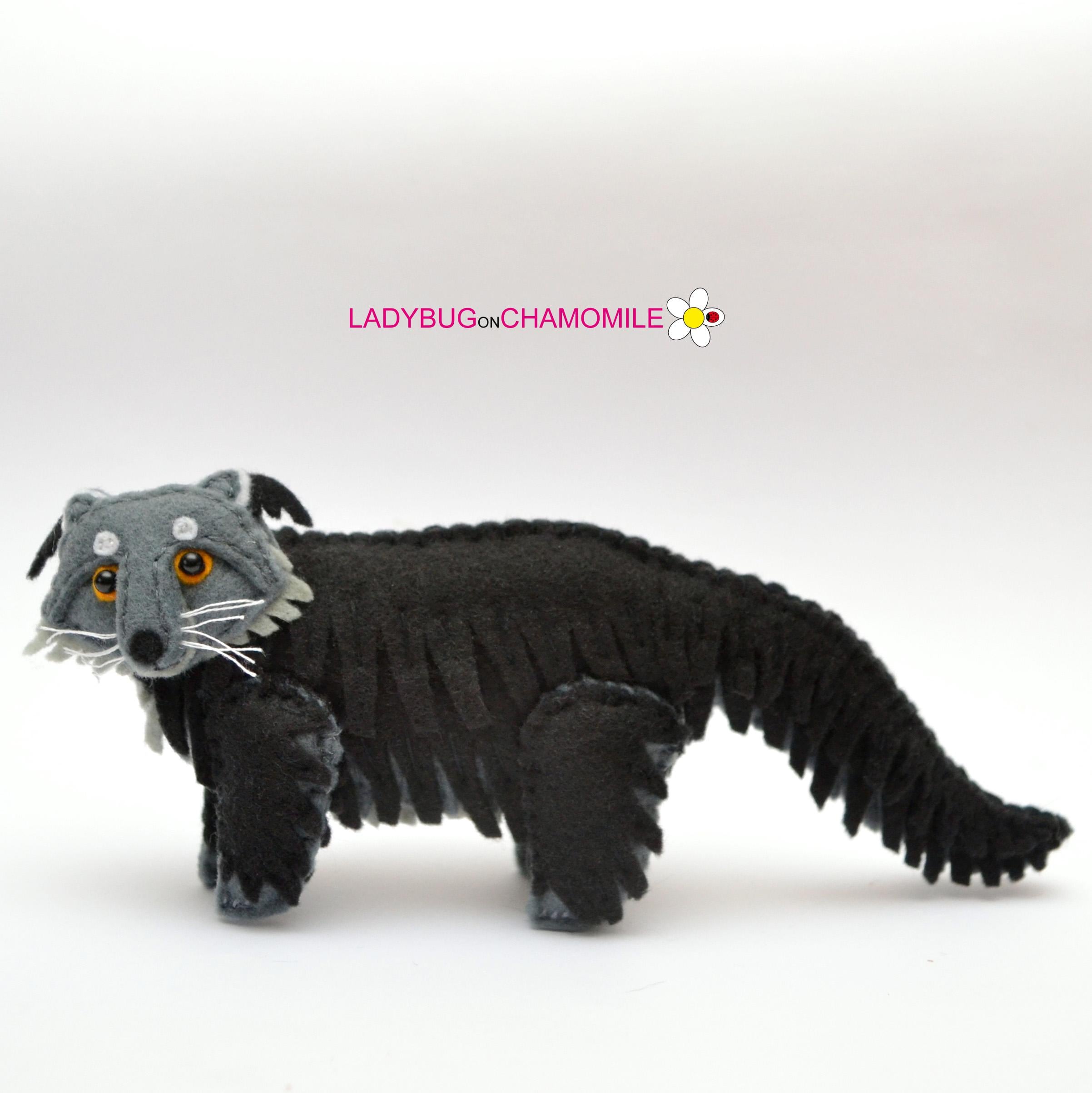激レア！ ビントロング（Binturong / Bear cat）の頭骨 ☆ 即納 ☆ 激レア！ ビントロング（Binturong / Bear cat）の