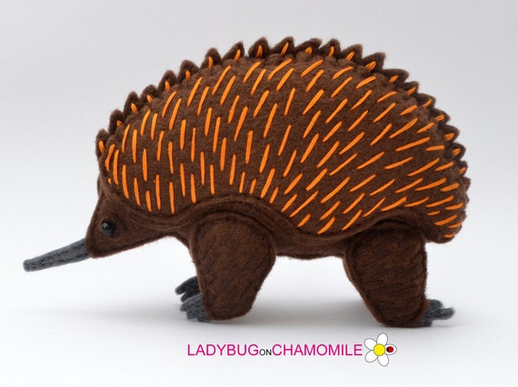 echidna stuffed animal