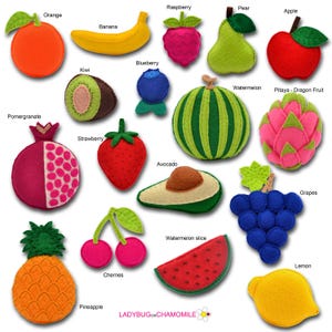 Felt Fruits & Berries Set | Handmade Play Food Fruit Collection | Educational Montessori Learning and Nursery Decor