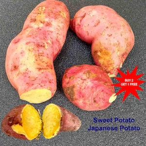 May include: Four sweet potatoes with reddish-pink skin and yellow flesh. One potato is sliced in half, revealing the bright yellow interior. A red starburst graphic on the right side contains the text BUY 2 GET 1 FREE. Text reads Sweet Potato Japanese Potato.