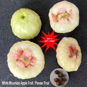 Puede incluir: Cuatro frutas de manzana de montaña, también conocidas como fruta paneer, de color verde pálido y blanco con centros rosados. Una estrella roja muestra el texto BUY 2 GET 1 FREE. Un pequeño círculo blanco contiene varias semillas marrones.