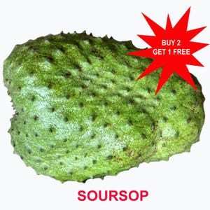 Pode incluir: Uma graviola verde com casca texturizada e espinhosa. Um gráfico de estrela vermelha no canto superior direito contém o texto branco BUY 2 GET 1 FREE. A palavra SOURSOP está impressa em letras maiúsculas vermelhas na parte inferior.