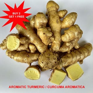 May include: A cluster of raw, light brown turmeric rhizomes with knobby, irregular shapes. Two pieces are sliced open to reveal a bright yellow interior. A red starburst graphic reads BUY 2 GET 1 FREE and text reads AROMATIC TURMERIC / CURCUMA AROMATICA.