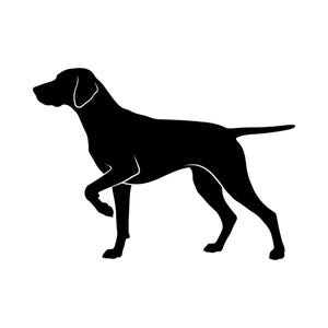 Puede incluir: Una silueta negra sólida de un perro de muestra en perfil. El perro se muestra en una postura de caza clásica con una pata delantera levantada, una cola larga extendida horizontalmente y orejas colgando a los lados de la cabeza.
