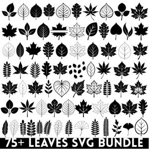 May include: A collection of over 75 black and white leaf illustrations in various shapes and sizes, including maple, oak, and ginkgo designs. The graphic set features both solid silhouettes and outlined leaf patterns with the text 75+ LEAVES SVG BUNDLE.