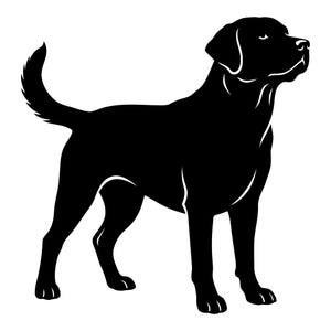 Könnte beinhalten: Eine einfarbige schwarze Silhouette eines Labrador Retriever Hundes, der im Profil nach rechts schaut. Das Design zeichnet sich durch klare, scharfe Linien aus, die den muskulösen Körperbau, die aufrechten Ohren und den aufmerksam erhobenen Schwanz definieren.