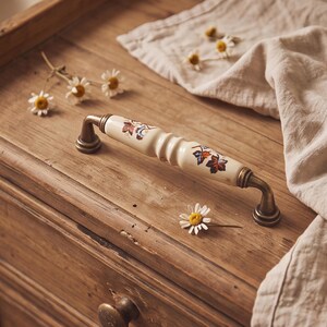 Ceramic Cabinet Pulls Red Green Floral Pattern Aged Bronze Zinc Alloy Multiple Hole Spacing