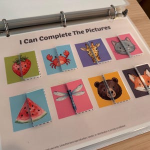 May include: A binder page titled I Can Complete The Pictures featuring eight square cards with illustrations of a strawberry, crab, giraffe, cat, watermelon slice, dragonfly, bear, and fox. Each card is split in half with a clear plastic strip.
