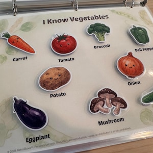 May include: A laminated educational sheet titled I Know Vegetables featuring cartoon illustrations of a carrot, tomato, broccoli, bell pepper, potato, onion, mushroom, and cucumber, each with a smiling face and its corresponding name printed below.