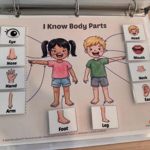 May include: An educational learning sheet titled I Know Body Parts featuring illustrations of two children with lines connecting to removable cards labeled Eye, Nose, Hand, Arm, Foot, Head, Mouth, Neck, Ear, and Leg, all encased in a plastic binder sleeve.