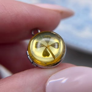May include: A small, round silver-toned locket pendant featuring a clear, amber-colored resin dome on the front. Encased within the resin is a preserved four-leaf clover with dark green leaves and a visible stem, centered inside the circular frame.