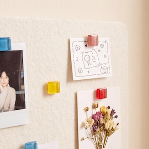 May include: A set of square, translucent glass magnets in blue, yellow, pink, and red colors attached to a white felt board. The magnets hold a photograph, a white card with a hand-drawn illustration, and a card featuring a dried flower arrangement.