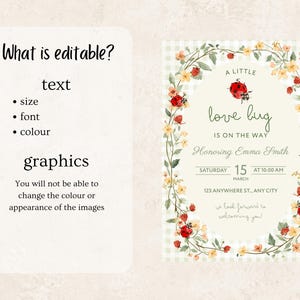 May include: A digital invitation template featuring a light green gingham background and a central oval frame decorated with watercolor illustrations of ladybugs, strawberries, and yellow flowers. The text reads A LITTLE love bug IS ON THE WAY.