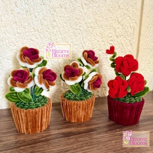 May include: Three decorative pipe cleaner flower arrangements in textured pots. Two pots are tan, one is deep red. The flowers feature white, brown, and deep red petals with green leaves. Text on the image reads Bizarre Blooms.