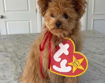 Fantasia personalizada de cachorro com etiqueta de Beanie Baby | Fantasia de Halloween para cachorro | Fantasia de Halloween para gato | Fantasia de Halloween para chinchila | Nostálgico | Anos 2000 | Anos 90