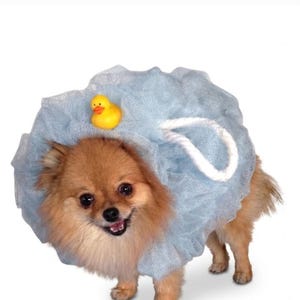 Bath Time Loofah Pet Dog Cat Halloween Costume, Shower Puffs Sponge Scrunchie Body Scrub with Rubber Duck, Spa Theme Costume