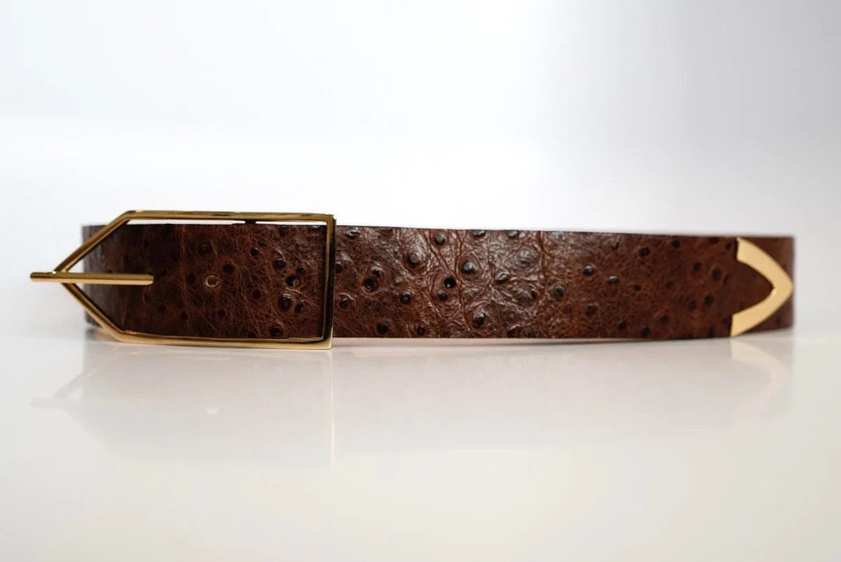 Coco Sands Brown Ostrich Embossed Leather Waist Belt w/ Gold Hardware Ostrich Print Croco Embossed Western Tabs Belt | Stetson main image 3