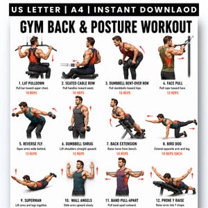 May include: A digital workout chart titled GYM BACK & POSTURE WORKOUT featuring twelve numbered exercise illustrations. Each section displays a person performing a specific movement with red highlights on the back muscles and text instructions.