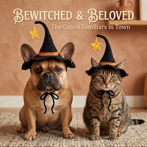 May include: A fawn French Bulldog and a brown tabby cat wearing matching black and orange crocheted witch hats with yellow star charms. The text reads BEWITCHED & BELOVED The Cutest Familiars in Town and HALLOWEEN WHIMSY at the bottom.