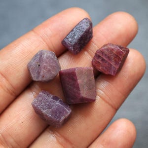 May include: Five raw, unpolished ruby gemstones with deep red and purplish-pink hues. Each stone features a natural, irregular, and faceted texture with varying levels of opacity and crystalline structure, displayed together in a cluster.