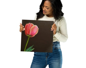 Pink Tulip Color Pencil and Charcoal Drawing PRINT Luster paper poster